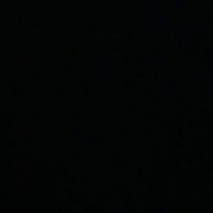 Meet your Posher, Shelby